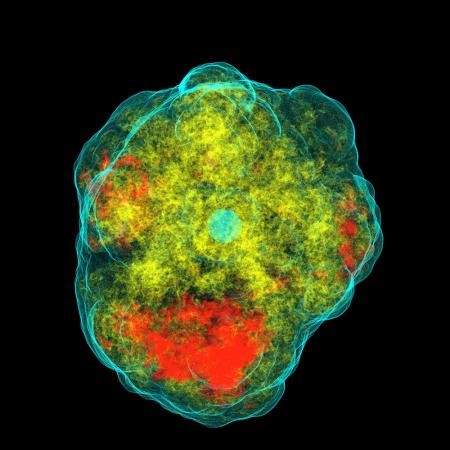 Core of a core-collapse supernova at the onset of explosion. 