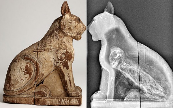 Egypt Animal Mummies