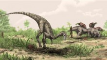 Artist rendering shows Nyasasaurus parringtoni