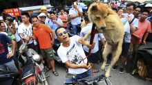 Dog meat vendors: Stop Yulin campaign good for business.