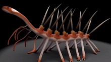 Smiling Worm Facts: 5 Things You Need To Know About This Tiny, Spiky Creature