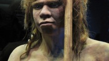 Human-Neanderthal Interbreeding UPDATE: DNA Analysis Supports European Discovery