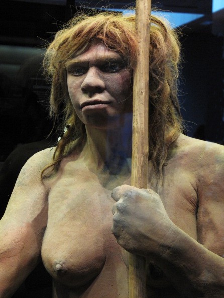 Human-Neanderthal Interbreeding UPDATE: DNA Analysis Supports European Discovery