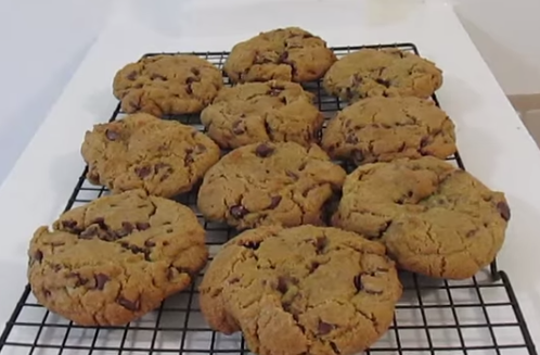 Marijuana Cookie Death: CDC Warns Against Overconsumption, Prompts Need For Warning Labels