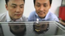 Harvard University Builds Robot Insect That Walks On Water