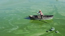 Lake Chaohu Blue Algae