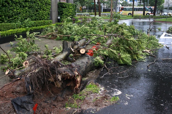Typhoon matmo hit Taiwan Wednesday morning
