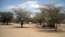 Turkana Basin