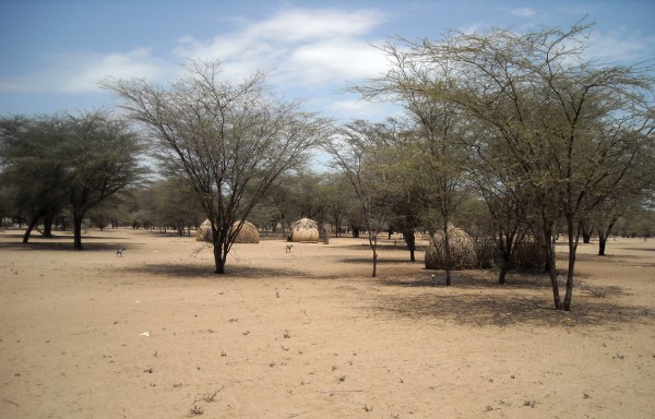 Turkana Basin