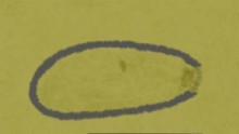 Sketch of Pithovirus sibericum 