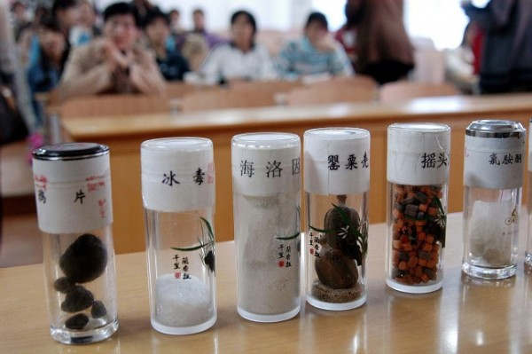China Synthetic Drugs