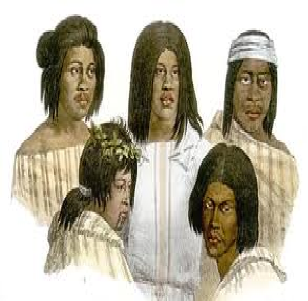 California Natives