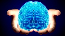 Novel Imaging Techniques Illustrates Effects Of Hypertension On Brain
