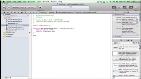 A sample of an Xcode is shown that is more advanced than with some other tutorial in the Internet.