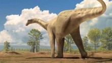 New Dinosaur Unearthed in Alaska