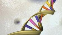 Menopause DNA