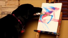 This Amazing Painter Dog Paints To Raise Charity