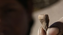 Ancient Human Teeth China