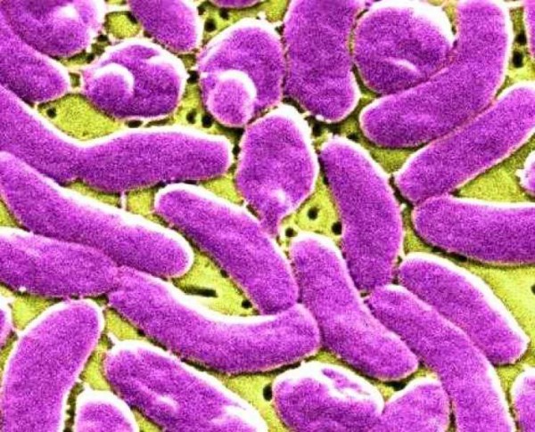 10 Lives Lost Because of the Deadly Flesh Eating Bacteria