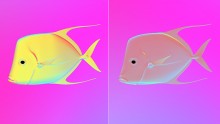 Simulated view of how the lookdown fish would appear in polarized light with mirrored skin (left) versus skin that reflects polarized light (right).