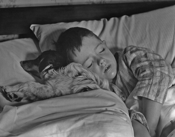 Share A Bed With Your Pet and Get a Better Sleep