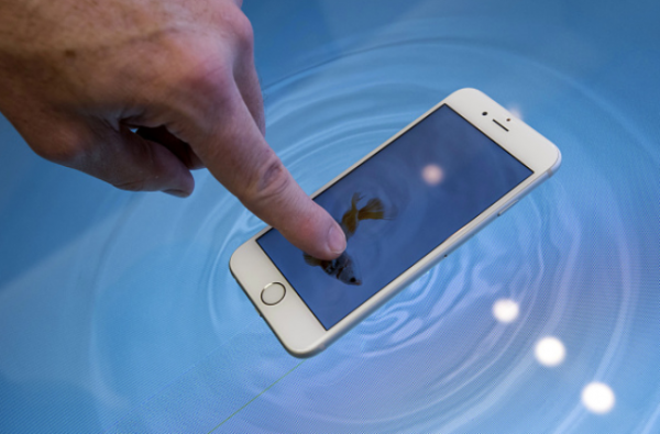 Apple is Rumored Working the Next iPhone to be Waterproof