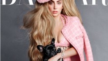 Lady Gaga Poses with Her French Bulldog on Harper’s Bazaar; Bonds with Karl Lagerfeld Over Pets