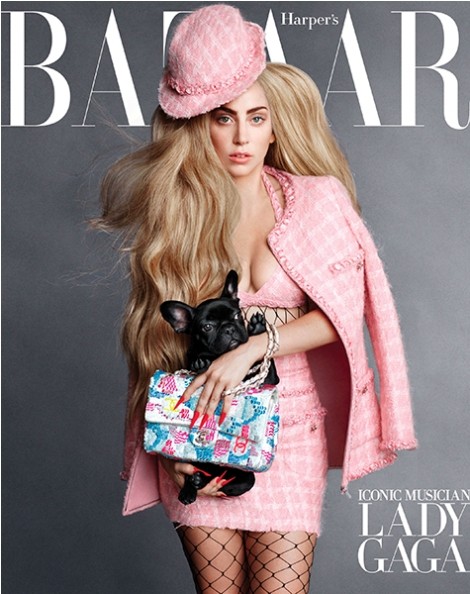 Lady Gaga Poses with Her French Bulldog on Harper’s Bazaar; Bonds with Karl Lagerfeld Over Pets