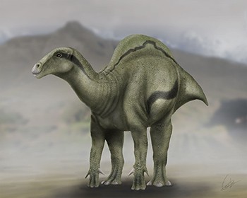 Reconstruction of the appearance of 'Morelladon beltrani'