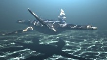 The plesiosaur apparently used its front flippers to propel itself like penguins do.