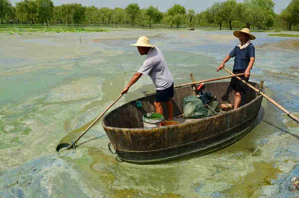 Chinese fishermen