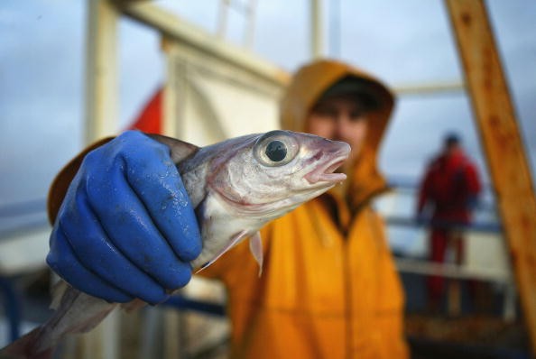 China to extend fishing ban from three months to four months