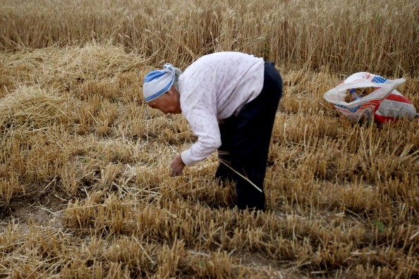 China targets to push integrated development and agricultural investment in rural areas