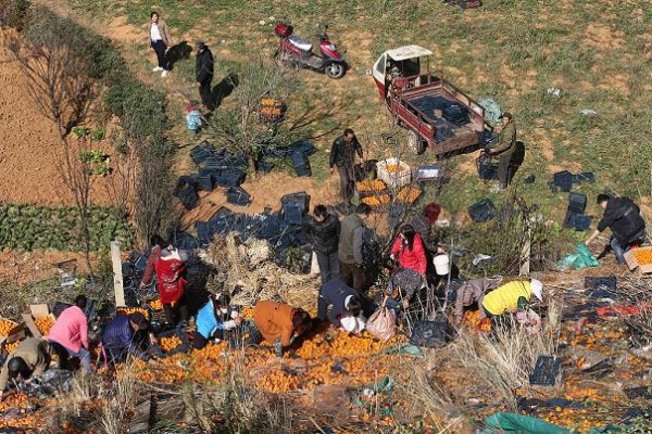 A Truck Carrying Oranges Turns Over In Kunming
