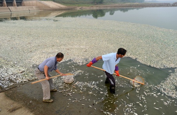 China River Pollution