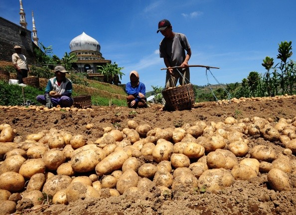 Chinese scientists discovered new way to make use of water waste discharge from potato processing plants