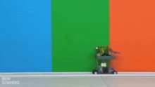 Chinese Engineers at Wuhan University Built an Adorable Robot That Camouflage