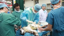 China Organ Transplant