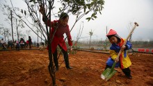 A city in China plans to plant half a million trees this year.