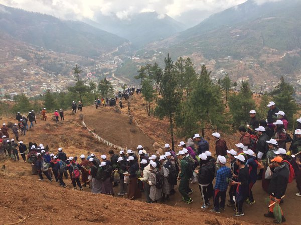 Bhutanese Plant 108,000 Tree Saplings In Honor of The Crown Prince