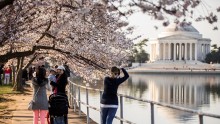 China-US Tourism Year Promotes Understanding Between the Two Countries