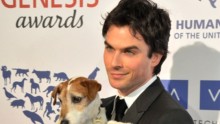 Ian Somerhalder’s Charitable Foundation Accused of Fraud: Where Do The Donations Go?
