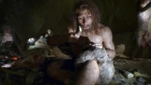 Neanderthals were not ready for tropical diseases and resulted to their extinction.