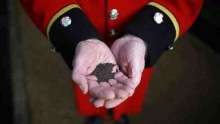 Chelsea pensioners Plant World War One Memorial Meadow