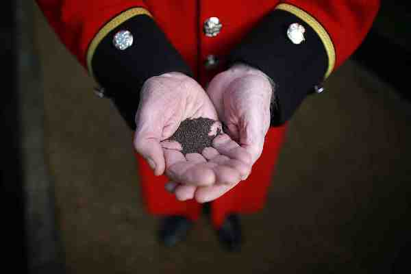 Chelsea pensioners Plant World War One Memorial Meadow