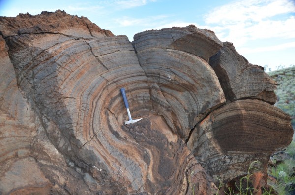 The layers on this 2.7 billion-year-old rock, a stromatolite from Western Australia, show evidence of single-celled, photosynthetic life on the shore of a large lake. The new result suggests that this microbial life thrived despite a thin atmosphere