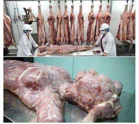 China Human Meat
