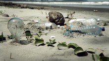 Biodegradable plastics only degrade into microplastics creating more pollution.