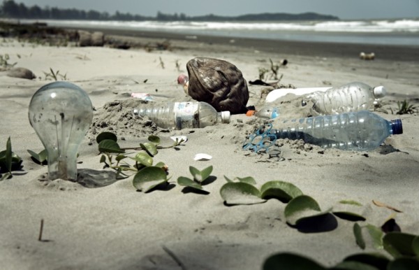 Biodegradable plastics only degrade into microplastics creating more pollution.