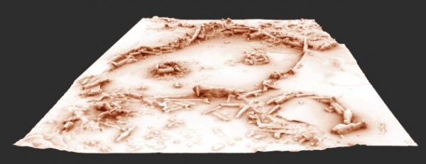 A 3D reconstruction of the structures in the Bruniquel Cave.